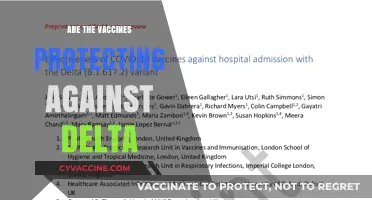 Delta Variant: Are Current Vaccines Still Effective in Protection?