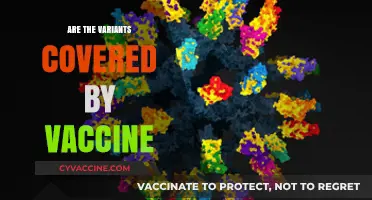 Vaccine Efficacy: Do Current Vaccines Protect Against Emerging Variants?