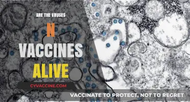 Are Viruses and Vaccines Alive? Exploring the Science Behind Them
