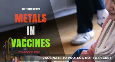 Are Heavy Metals in Vaccines a Health Concern?