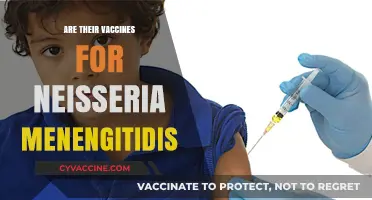 Neisseria Meningitidis Vaccines: Protection Against Meningococcal Disease
