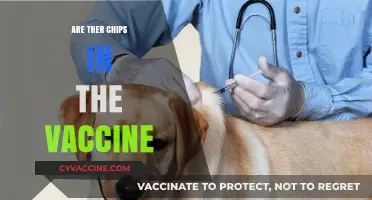 Debunking Myths: Are There Really Microchips in COVID-19 Vaccines?