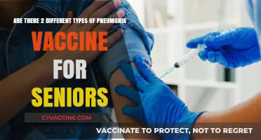 Pneumonia Vaccines for Seniors: Understanding the Two Types