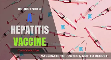 Hepatitis Vaccine: A Two-Part Series for Protection