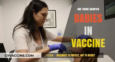 Debunking the Myth: Aborted Fetal Cells and Vaccines Explained