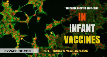Vaccines: Aborted Fetal Cells and Infant Safety