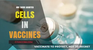 Aborted Fetal Cells in Vaccines: Separating Fact from Fiction