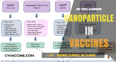 Aluminium Nanoparticles in Vaccines: Fact or Fiction?