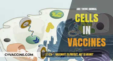 Animal Cells in Vaccines: Fact or Fiction? Exploring the Science