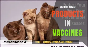 Animal Products in Vaccines: Uncovering Ingredients and Ethical Considerations