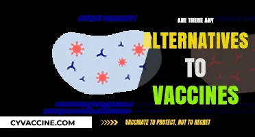 Exploring Vaccine Alternatives: Natural Immunity and Preventive Health Options