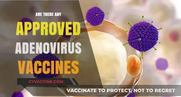 Approved Adenovirus Vaccines: Current Status and Availability Explained