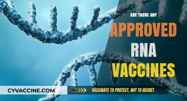 Approved RNA Vaccines: Current Status and Future Prospects Explained