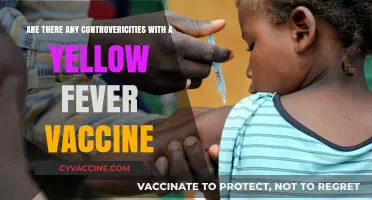 Yellow Fever Vaccine: Exploring the Controversies
