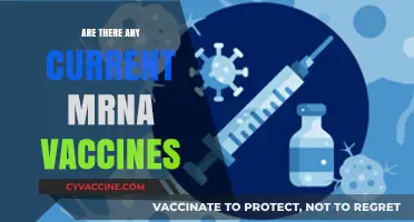 Current mRNA Vaccines: Availability, Uses, and Latest Developments Explained