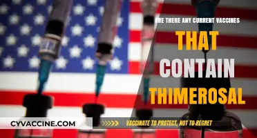 Thimerosal in Vaccines: What You Need to Know