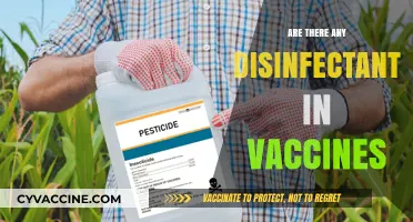 Do Vaccines Contain Disinfectants? Separating Fact from Fiction