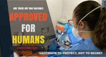 DNA Vaccines: Approved for Humans?