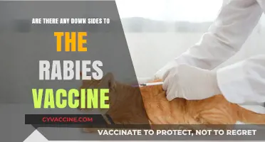 Rabies Vaccine: Any Downsides to This Lifesaving Shot?