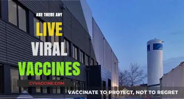 Live Viral Vaccines: Understanding Their Role in Modern Immunization