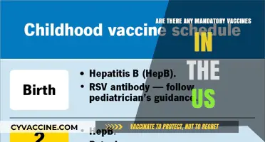 Mandatory Vaccines in the US: What's Required?