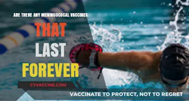 Meningococcal Vaccines: Can They Provide Lifetime Protection?