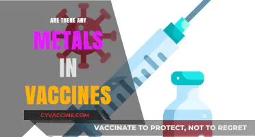 Metals in Vaccines: Uncovering the Truth Behind Common Concerns