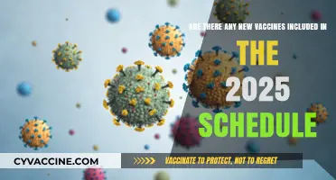 What New Vaccines Are Included in the 2025 Schedule?