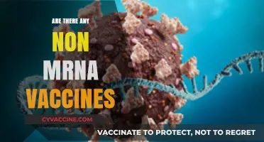 Exploring Non-mRNA Vaccine Alternatives: Options and Effectiveness