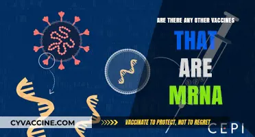 mRNA Vaccines: The Future of Medicine?