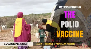 Polio Vaccine: Plant-Based or Not?