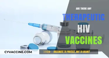 Exploring Therapeutic HIV Vaccines: Current Research and Potential Breakthroughs