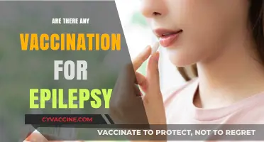 Exploring Epilepsy Vaccination: Current Research and Potential Breakthroughs