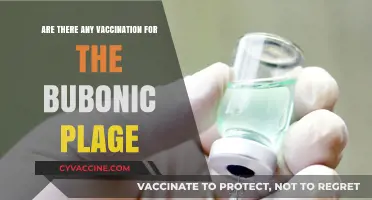 Plague Vaccinations: Are They Effective Against Bubonic Strain?