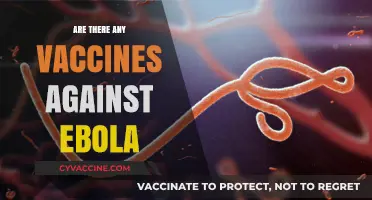 Ebola Vaccines: Current Status, Effectiveness, and Global Accessibility Explained