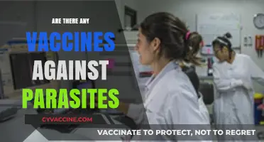 Vaccines Against Parasites: Current Developments and Future Prospects