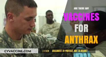 Are There Vaccines for Anthrax? Exploring Prevention and Protection Options