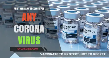 Vaccines for Corona: What's the Latest?