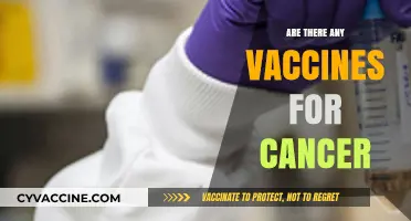Exploring Cancer Vaccines: Current Research and Future Possibilities