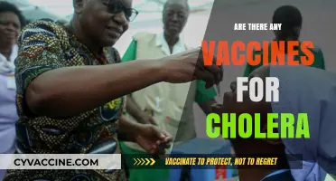 Cholera Vaccines: Availability, Effectiveness, and Global Impact Explained