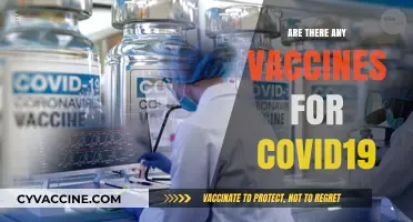 COVID-19 Vaccines: Availability, Effectiveness, and Global Distribution Explained