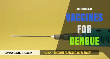Dengue Vaccines: Current Options, Effectiveness, and Future Prospects