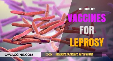 Leprosy Vaccines: Current Status, Effectiveness, and Future Prospects Explored