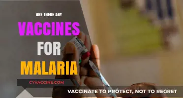 Exploring Malaria Vaccines: Current Options and Future Developments
