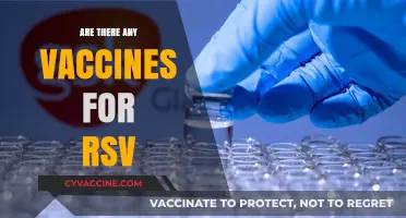 RSV Vaccines: Current Options and Future Developments Explained