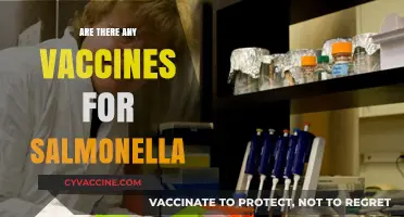 Vaccines for Salmonella: Current Options and Future Developments