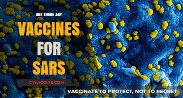 Exploring SARS Vaccines: Current Status and Future Prospects