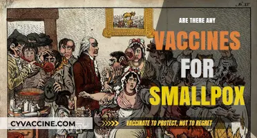 Smallpox Vaccines: History, Eradication, and Current Relevance Explained