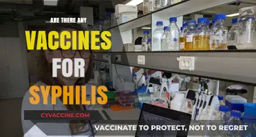 Syphilis Vaccines: Current Research and Prevention Strategies Explained