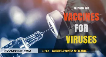 Exploring Viral Vaccines: Are There Effective Shots for All Viruses?